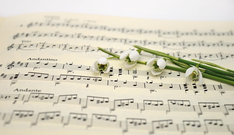 Nature-inspired Music